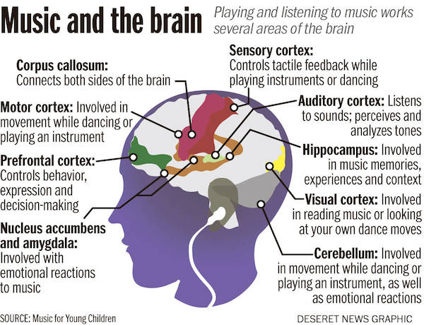 Brain-on-music-benefici-musica-by-Music for Young Children-wow-webmagazine