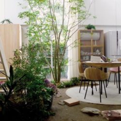 ishigami-house-with-plants-wow-webmagazine