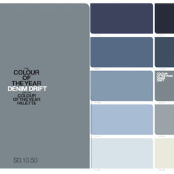 denim_drift-colour-futures-17-wow-webmagazine