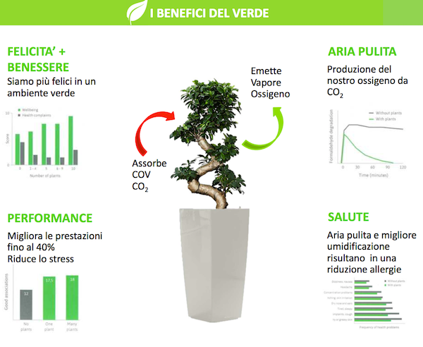 benefici-del-verde-hwstyle-wow-webmagazine