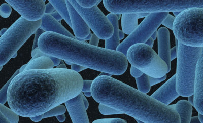 evidenzaBlue-bacteria-akzo-nobel-biocote-interpone-am-wow-webmagazine