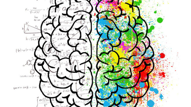 06-I colori delle neuroscienze-wow-webmagazine