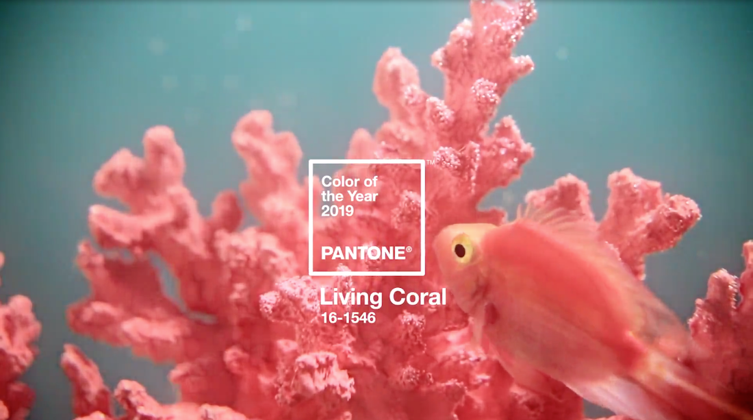 3-pantone-color-of-the-year-2019-wow-webmagazine