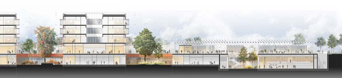 Città-della-salute_Sezione-@Mario-Cucinella-Architectswow-webmagazine